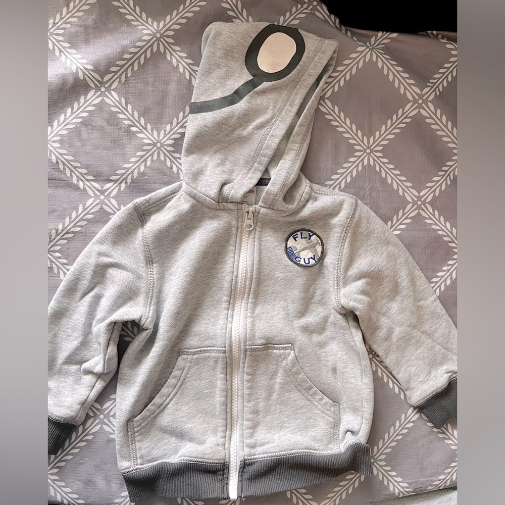 Boys Gymboree grey zippered hoodie size 2T